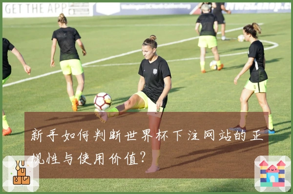新手如何判断世界杯下注网站的正规性与使用价值？