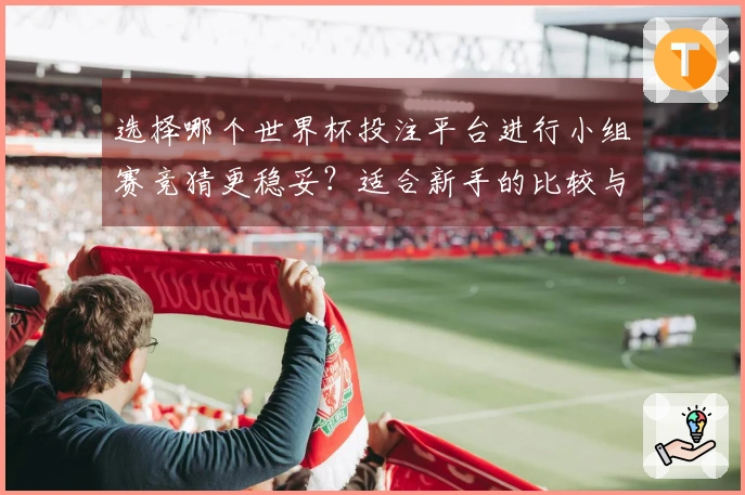 选择哪个世界杯投注平台进行小组赛竞猜更稳妥？适合新手的比较与分析
