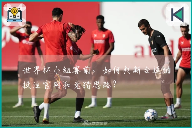 世界杯小组赛前，如何判断合适的投注官网和竞猜思路？