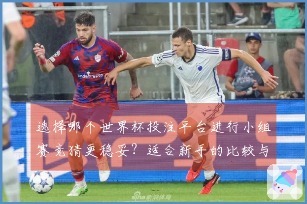 选择哪个世界杯投注平台进行小组赛竞猜更稳妥？适合新手的比较与分析