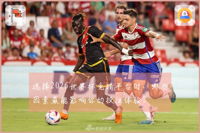 选择2026世界杯竞猜平台时,哪些因素最能影响你的投注体验?